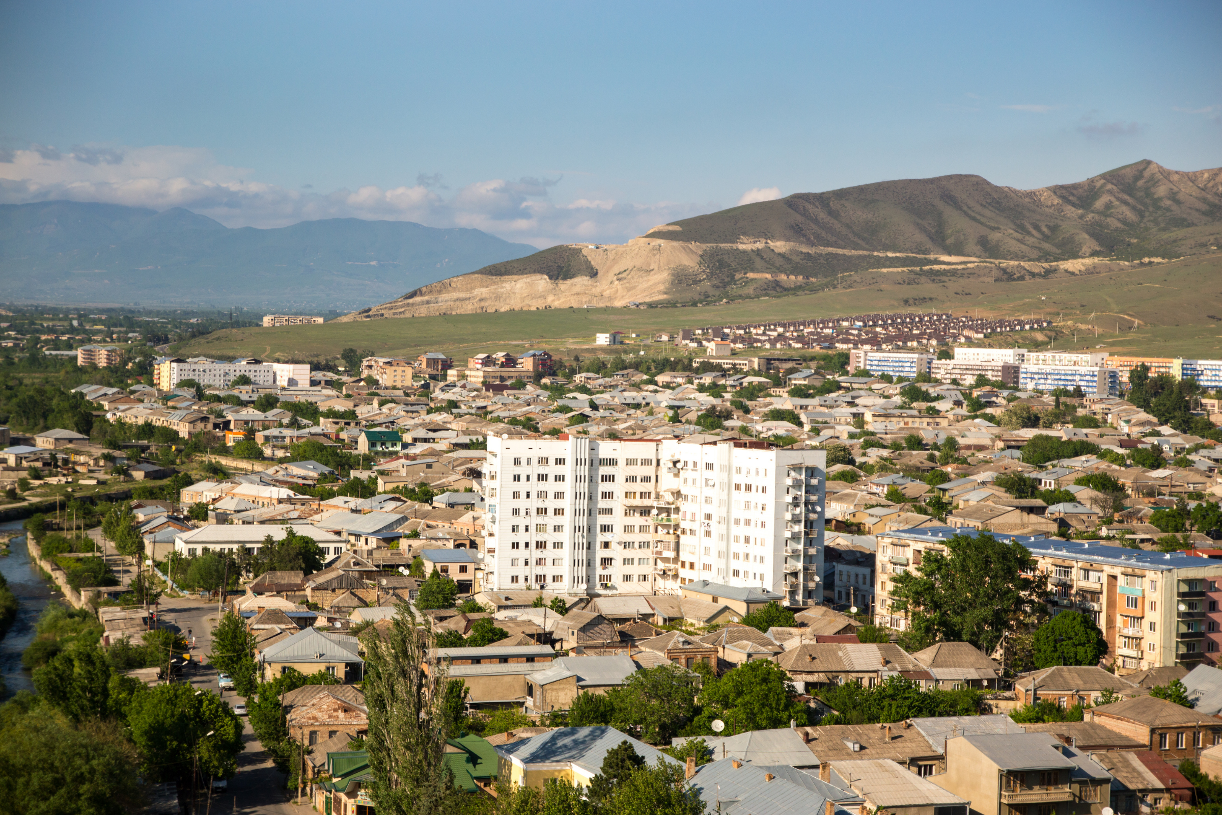 gori (3).webp